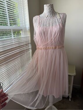 NWT LC Lauren Conrad Ballet Pixie Fairy Pink Tulle Dress Size XL